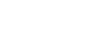LOGO-PINKSHINE-ONLINE.png