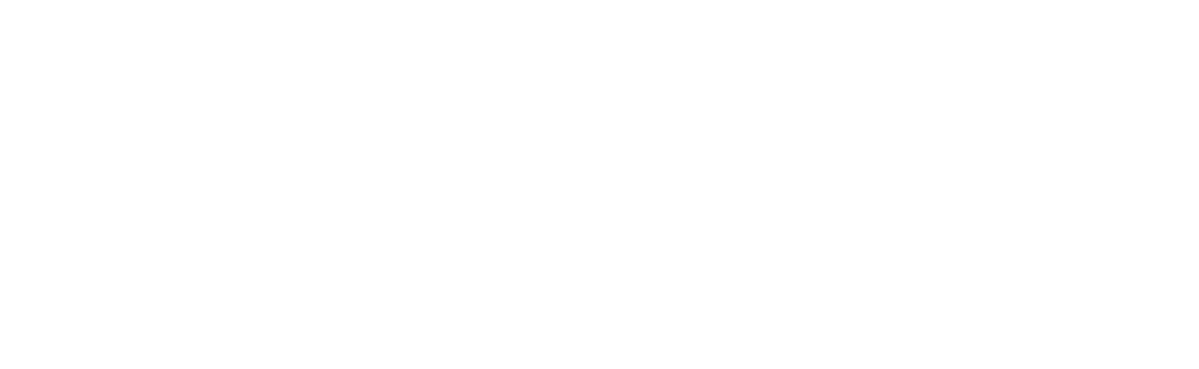 logo branca (1)